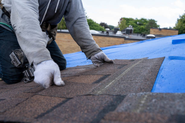 Best Roof Waterproofing  in Chester, VA